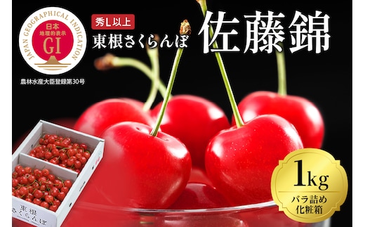 2026年 GI東根さくらんぼ「佐藤錦」1kgバラ詰め(500g×2ﾊﾟｯｸ) 秀品 Lサイズ 東根農産センター提供 山形県 東根市 hi027-214