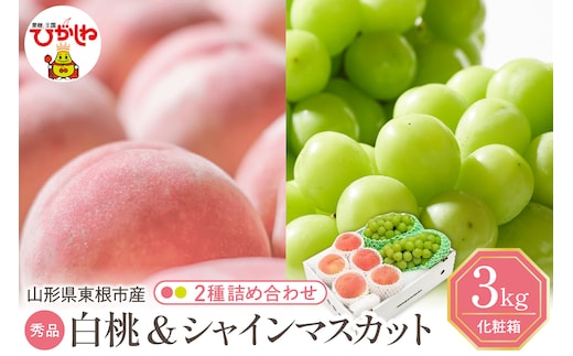 【2026年】 東根市産 白桃（品種おまかせ）秀品＆シャインマスカット詰め合わせ 化粧箱入り3kg 山形県 東根市 hi027-238