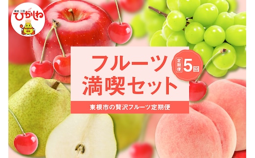 【2026年 全5回定期便】東根フルーツ満喫セット （6月からスタート）さくらんぼ、もも、シャインマスカット、ラ・フランス、りんご hi027-237