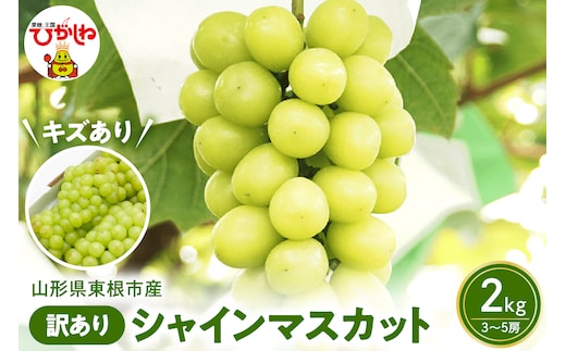 2026年ぶどう「訳ありシャインマスカット」2kg（3～5房）東根農産センター提供 山形県 東根市 hi027-235