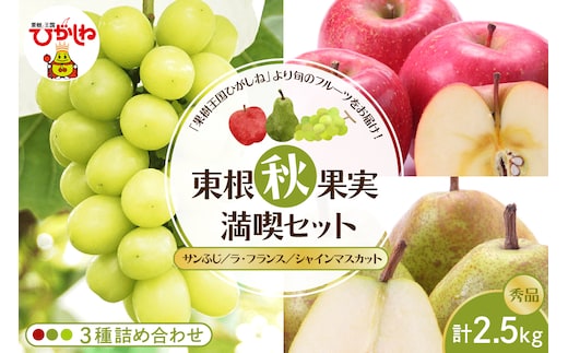【2026年産 東根秋果実満喫セット】 サンふじ＆ラフ＆シャイン 約2.5kg 山形県 東根市 東根農産センター提供 hi027-202-r8