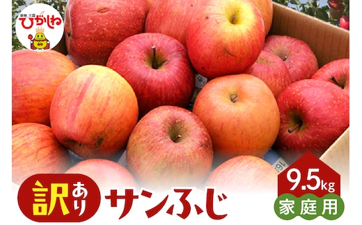 【2026年産】※訳あり※ サンふじ満杯詰(約9.5kg) 山形県 東根市 東根農産センター提供 hi027-204-r8