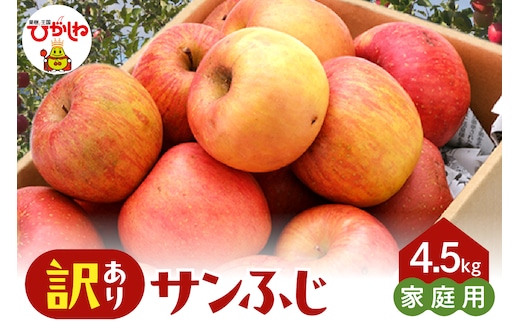 【2026年産】※訳あり※ サンふじ満杯詰(約4.5kg) 山形県 東根市 東根農産センター提供 hi027-203-r8