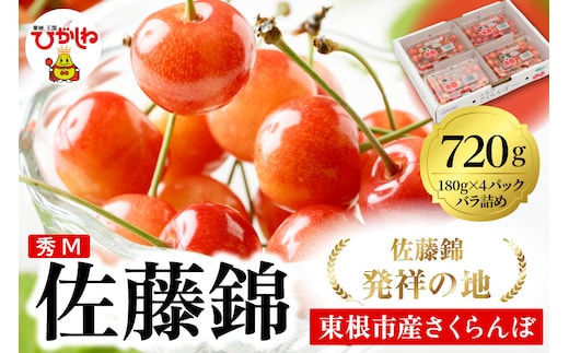2026年 東根産さくらんぼ「佐藤錦」720g (180g×4ﾊﾟｯｸ) 秀品 Mサイズ 東根農産センター提供 山形県 東根市 hi027-216