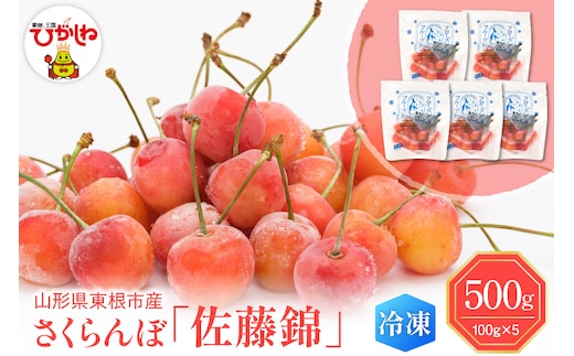 【瞬間冷凍】東根市産さくらんぼ 100g×5袋 東根農産センター提供 hi027-244