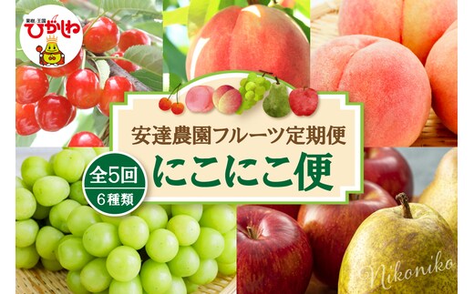 【2026年 5回定期便】安達農園フルーツ定期便 にこにこ便 安達農園提供 山形県 東根市 hi037-012