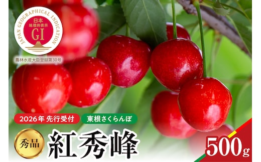 【2026年産 先行予約】紅秀峰 秀品 500g 山形県 東根市 hi062-052