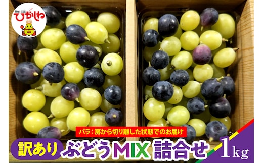 【2026年産】ぶどうMIX詰め合わせ 訳ありバラ 約1kg 山形県 東根市 松栗提供 hi062-067