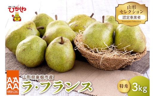 【令和8年産 先行予約】山形セレクション ラ・フランス 3kg 山形県 東根市 鈴木農園提供 hi069-017