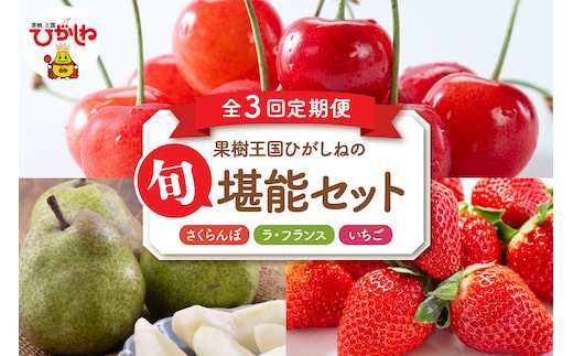 【2026年産 先行予約 3回定期便】果樹王国ひがしねの旬堪能セット いちご さくらんぼ ラ・フランス 山形県 東根市 hi069-022