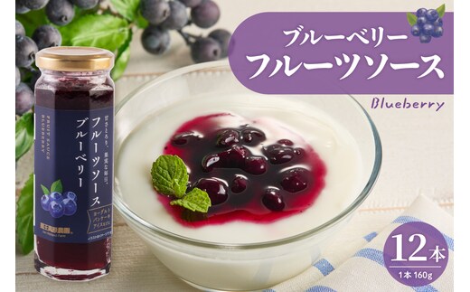 フルーツソース160g ブルーベリー（12本）和歌山産業提供 山形県 東根市 hi070-010