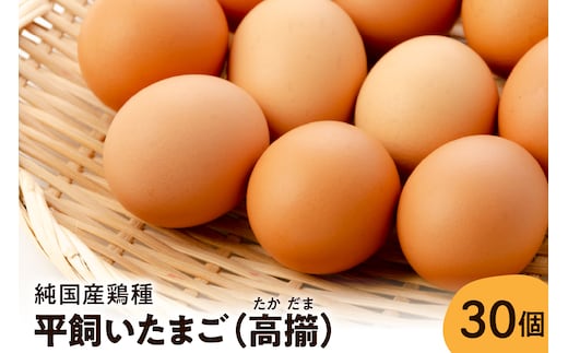 【山形県東根市産】 平飼いたまご 高擶 30個入 （破損補償含む）半澤鶏卵提供 山形 東根 hi071-001