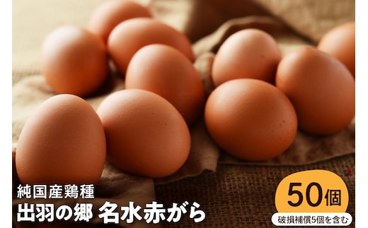 【山形県東根市産】 出羽の郷名水赤がら50個入（破損補償5個を含む） 半澤鶏卵提供 山形 東根 hi071-003