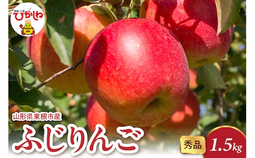 【2026年産】 ふじりんご 1.5kg（3-7玉） 秀品 山形県 東根市 千笑花夢提供 hi082-015-r8