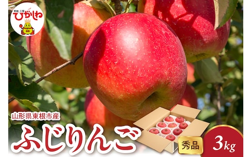【2026年産】 ふじりんご 3kg（6-13玉） 秀品 山形県 東根市 千笑花夢提供 hi082-017-r8