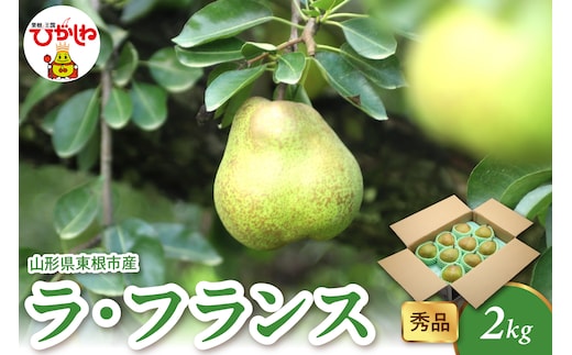 【2026年産】 ラ・フランス 2kg（4-9玉） 秀品 山形県 東根市 千笑花夢提供 hi082-020-r8