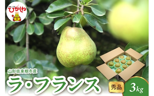 【2026年産】 ラ・フランス 3kg（6-13玉） 秀品 山形県 東根市 千笑花夢提供 hi082-021-r8