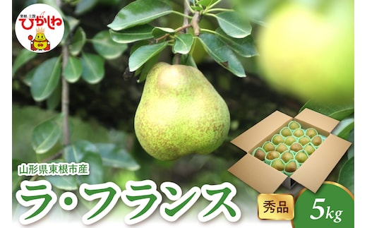 【2026年産】 ラ・フランス 5kg（8-25玉） 秀品 山形県 東根市 千笑花夢提供 hi082-022-r8
