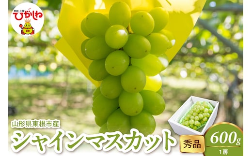 2026年産 シャインマスカット 600g(1房） 秀品 山形県 東根市 hi082-057