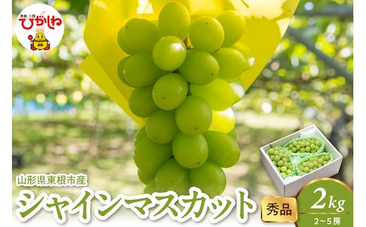 2026年産 シャインマスカット 2kg（2-5房） 秀品 山形県 東根市 hi082-059