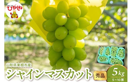 2026年産 シャインマスカット 5kg（5-10房） 秀品 山形県 東根市 hi082-060