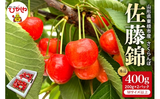 【2026年産 先行予約】さくらんぼ「佐藤錦」秀品 400gバラ詰め（200g×2パック） Mサイズ以上 山形県 東根市 hi088-009