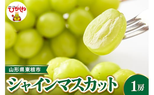 【令和8年産先行受付】 東根市産シャインマスカット 約700g(1房入) ベジフルひがしね 山形県 東根市 hi104-001