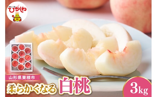 【令和8年産先行受付】 東根市産白桃 秀品 柔らかくなる桃 約3kg ベジフルひがしね 山形県 東根市 hi104-005
