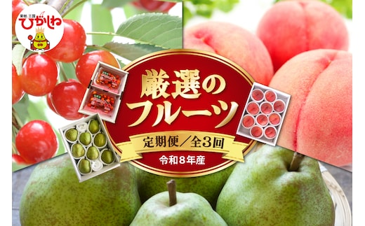 【2026年 先行予約 3回定期便】令和8年6月発送開始 東根市 厳選のフルーツ！ 東根市旬のフルーツ定期便 山形県 東根市 hi104-007