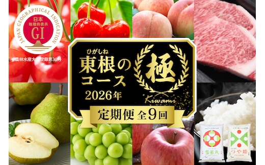 【2026年先行予約 9回 定期便】山形県 東根市産「極」コース さくらんぼ 桃 シャインマスカット りんご ラ・フランス お米 肉 hi999-038