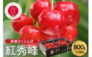 【2026年産 先行予約】GI 「東根さくらんぼ」紅秀峰 800g バラ詰め JA園芸部提供 山形県 東根市　hi001-040