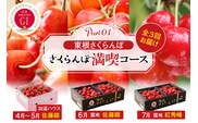 【2026年産 先行予約】GI「東根さくらんぼ」 さくらんぼ 満喫 コース Part１　(2026年4月下旬～5月中旬からスタート) 山形県 東根市　hi001-042