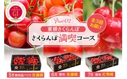 【2026年産 先行予約】 GI「東根さくらんぼ」 さくらんぼ 満喫 コース Part2 (2026年5月下旬～6月上旬からスタート) 山形県 東根市 hi001-043