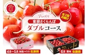 【2026年産 先行予約】東根さくらんぼ ダブルコース （佐藤錦加温500g、佐藤錦露地900g） 山形県 東根市 hi001-044