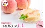 【2026年産 先行予約】もも (品種おまかせ) 5kg JA提供 山形県 東根市 hi003-157