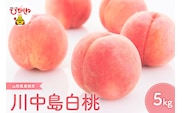 【2026年産 先行予約】2026年もも「川中島白桃」5kg JA提供 hi003-154