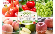 【2026年先行予約 6回 定期便】2026年 た～んと フルーツ コース 山形県 東根市 さくらんぼ もも シャインマスカット ラ・フランス りんご hi999-044