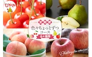 【2026年先行予約 4回 定期便】色々ちょっとずつ コース 山形県 東根市 さくらんぼ もも ラ・フランス りんご　hi999-046