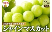 【2026年 先行予約】ぶどう「シャインマスカット」2房 (約1.3kg～1.4kg) 山形県 東根市 hi003-153