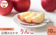 【2026年産】 りんご(品種おまかせ) 10kg よってけポポラ提供 hi003-165