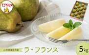 【2026年産】 洋なし「ラ・フランス」 5kg よってけポポラ提供 hi003-168