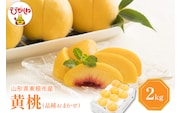 【2026年産 先行予約】 黄桃 (品種おまかせ) 2kg 秀品 化粧箱入り 東根農産センター提供 山形県 東根市 hi027-260