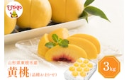 【2026年産 先行予約】 黄桃 (品種おまかせ) 3kg 秀品 化粧箱入り 東根農産センター提供 山形県 東根市 hi027-261