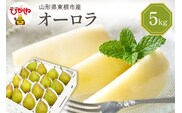 【2026年産】 西洋梨 オーロラ 5kg 秀品 化粧箱入り 山形県 東根市 東根農産センター提供 hi027-187-r8