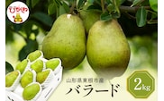 【2026年産】 西洋梨 バラード 2kg 秀品 化粧箱入り 山形県 東根市 東根農産センター提供 hi027-190-r8