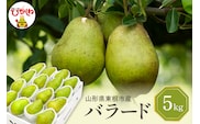 【2026年産】 西洋梨 バラード 5kg 秀品 化粧箱入り 山形県 東根市 東根農産センター提供 hi027-191-r8