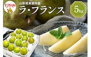 【2026年産】 西洋梨 ラフランス 5kg 秀品 化粧箱入り 山形県 東根市 東根農産センター提供 hi027-196-r8