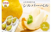 【2026年産】 西洋梨 シルバーベル 2kg 秀品 化粧箱入り 山形県 東根市 東根農産センター提供 hi027-199-r8