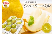 【2026年産】 西洋梨 シルバーベル 5kg 秀品 化粧箱入り 山形県 東根市 東根農産センター提供 hi027-200-r8