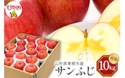 【令和7年産 先行予約】りんご サンふじ 10kg(秀品) 山形県 東根市 東根農産センター提供 hi027-205-1